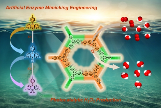 Photosynthesis of H2O2 using Phenothiazine‐Based Covalent‐Organic Frameworks Mimicking Coenzyme Q