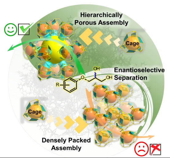 Enantioseparation in Hierarchically Porous Assemblies of Homochiral Cages