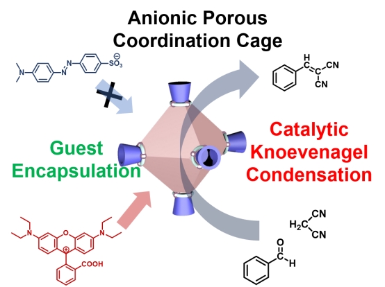 Surface Charges of Porous Coordination Cage Tune the Catalytic Reactivity of Knoevenagel Condensation