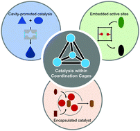 “Catalysis in the Cave: Reactions Promoted by Discrete Coordination Cages”.